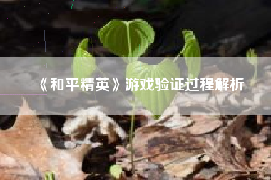 《和平精英》游戏验证过程解析