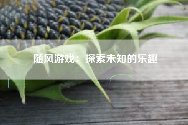 随风游戏：探索未知的乐趣