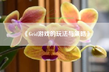 《Grid游戏的玩法与策略》