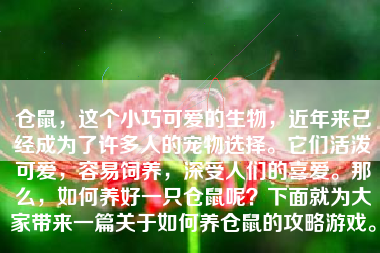 仓鼠，这个小巧可爱的生物，近年来已经成为了许多人的宠物选择。它们活泼可爱，容易饲养，深受人们的喜爱。那么，如何养好一只仓鼠呢？下面就为大家带来一篇关于如何养仓鼠的攻略游戏。