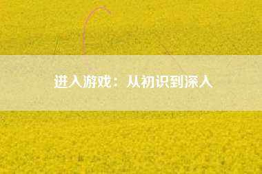 进入游戏：从初识到深入