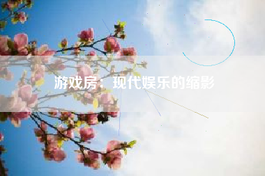 游戏房：现代娱乐的缩影