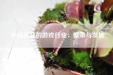 中国现在的游戏行业：繁荣与发展