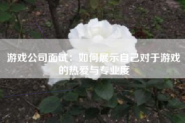 游戏公司面试：如何展示自己对于游戏的热爱与专业度