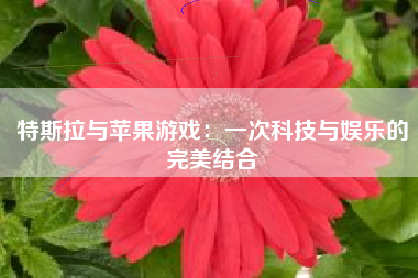 特斯拉与苹果游戏：一次科技与娱乐的完美结合