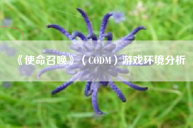 《使命召唤》（CODM）游戏环境分析