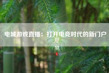 电城游戏直播：打开电竞时代的新门户