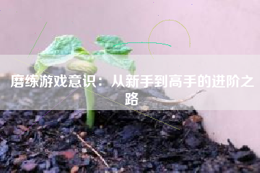 磨练游戏意识：从新手到高手的进阶之路