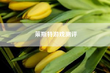 莱斯特游戏测评