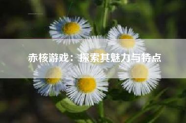 赤核游戏：探索其魅力与特点