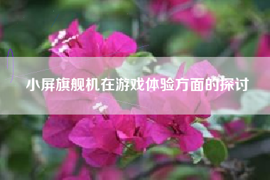 小屏旗舰机在游戏体验方面的探讨