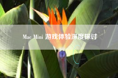 Mac Mini 游戏体验深度探讨