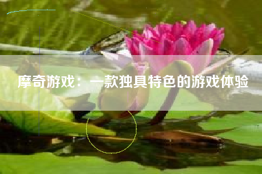 摩奇游戏：一款独具特色的游戏体验