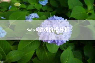 Switch游戏价格分析