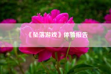 《坠落游戏》体验报告