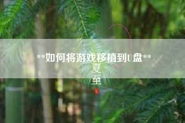 **如何将游戏移植到U盘**