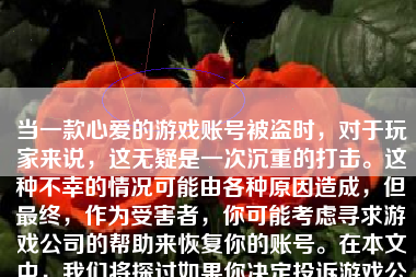 当一款心爱的游戏账号被盗时，对于玩家来说，这无疑是一次沉重的打击。这种不幸的情况可能由各种原因造成，但最终，作为受害者，你可能考虑寻求游戏公司的帮助来恢复你的账号。在本文中，我们将探讨如果你决定投诉游戏公司，他们可能会如何应对这一问题。