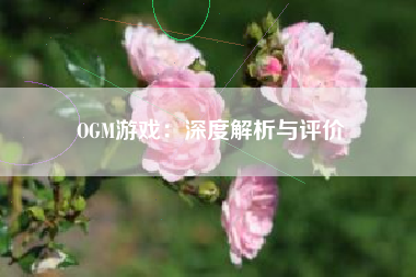 OGM游戏：深度解析与评价