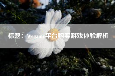 标题：Wegame平台购买游戏体验解析