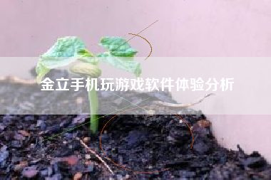 金立手机玩游戏软件体验分析