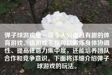 弹子球游戏是一项令人兴奋且有趣的体育游戏。该游戏不仅可以锻炼身体协调性、提高注意力集中度，还能培养团队合作和竞争意识。下面将详细介绍弹子球游戏的玩法。