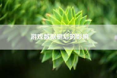 游戏数据删后的影响