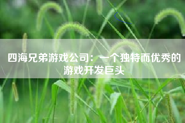 四海兄弟游戏公司：一个独特而优秀的游戏开发巨头