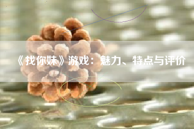 《找你妹》游戏：魅力、特点与评价