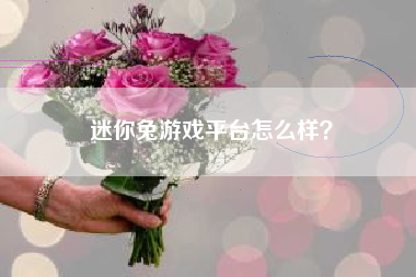 迷你兔游戏平台怎么样？