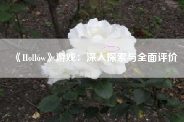 《Hollow》游戏：深入探索与全面评价