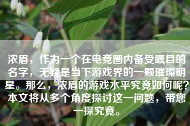 浓眉，作为一个在电竞圈内备受瞩目的名字，无疑是当下游戏界的一颗璀璨明星。那么，浓眉的游戏水平究竟如何呢？本文将从多个角度探讨这一问题，带您一探究竟。