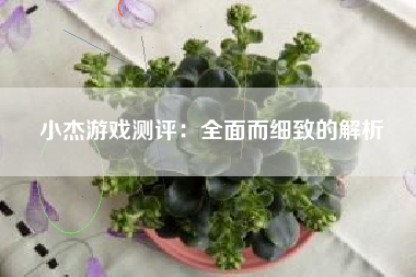 小杰游戏测评：全面而细致的解析