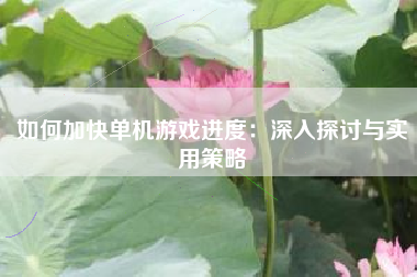 如何加快单机游戏进度：深入探讨与实用策略