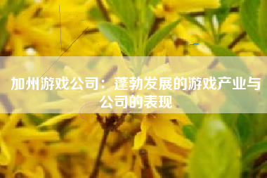 加州游戏公司：蓬勃发展的游戏产业与公司的表现