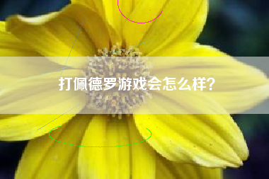 打佩德罗游戏会怎么样？