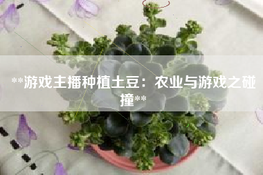 **游戏主播种植土豆：农业与游戏之碰撞**