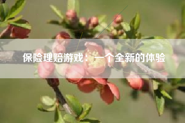 保险理赔游戏：一个全新的体验