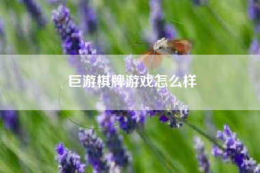 巨游棋牌游戏怎么样