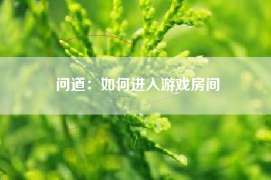 问道：如何进入游戏房间