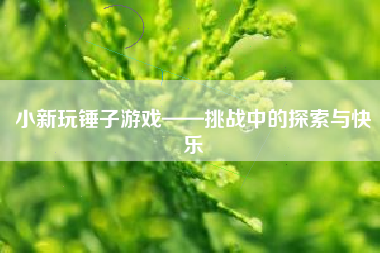 小新玩锤子游戏——挑战中的探索与快乐