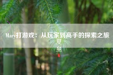 Mary打游戏：从玩家到高手的探索之旅