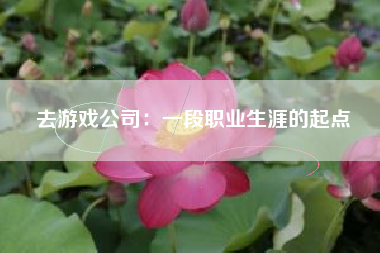 去游戏公司：一段职业生涯的起点