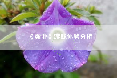 《霸业》游戏体验分析