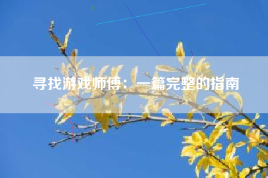 寻找游戏师傅：一篇完整的指南