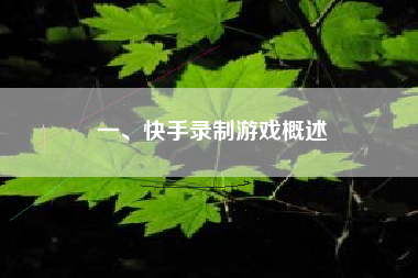 一、快手录制游戏概述