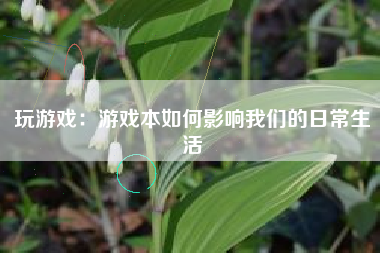 玩游戏：游戏本如何影响我们的日常生活