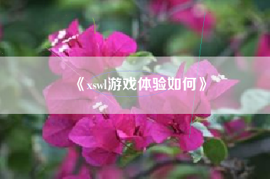 《xswl游戏体验如何》