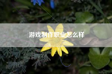 游戏制作职业怎么样