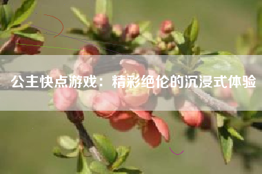 公主快点游戏：精彩绝伦的沉浸式体验