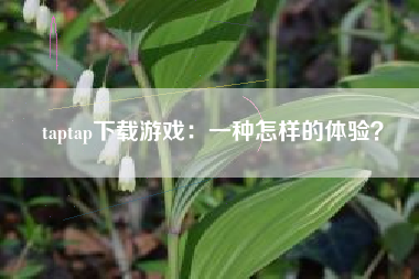 taptap下载游戏：一种怎样的体验？